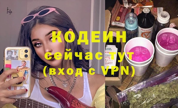 СК Новозыбков