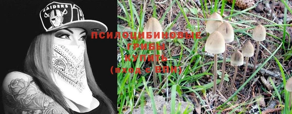 прущие крисы Нефтегорск