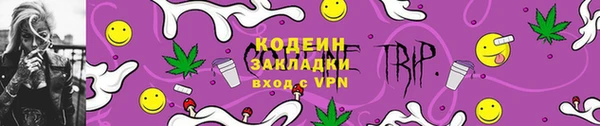 СК Новозыбков